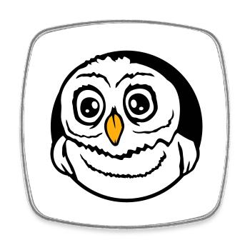 Eule Vogel Uhu Nachtvogel Schleiereule Kauz Comic - Viereckiger Kühlschrankmagnet - Weiß - Vorne