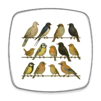 Bird Watcher Bird Lover - Square fridge magnet - white - Front