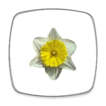 narcissus flower - Square fridge magnet - white - Front