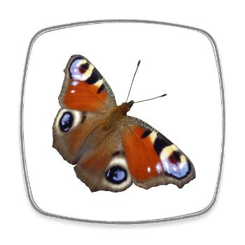 Butterfly Wings Day Peacock Eye Insect Printemps - Magnet carré - blanc - Devant