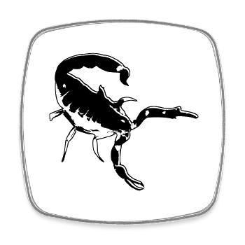 Skorpion Skorpion giftig Stachel Spinnentier Tier - Viereckiger Kühlschrankmagnet - Weiß - Vorne