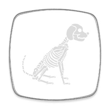 Skeleton Dog Halloween Design - Square fridge magnet - white - Front