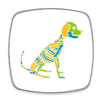 Chien squelette coloré Halloween - Magnet carré - blanc - Devant