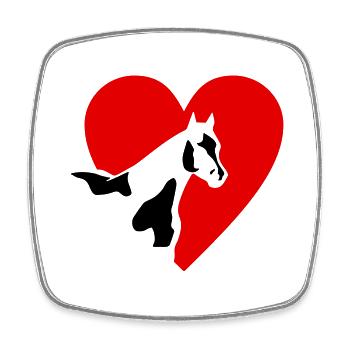 Paint Horse - Viereckiger Kühlschrankmagnet - Weiß - Vorne