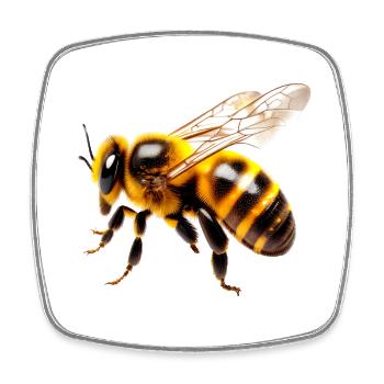 Abeilles Design Motif Miel Apiculteur Abeille - Magnet carré - blanc - Devant