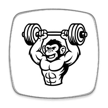 Muscle de musculation de singe - Magnet carré - blanc - Devant