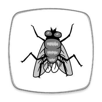 Small House Fly Insect Design - Square fridge magnet - white - Front