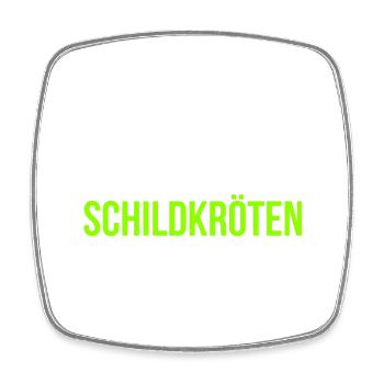 Schildkröten schützen Plastikverbot Umweltschutz - Viereckiger Kühlschrankmagnet - Weiß - Vorne