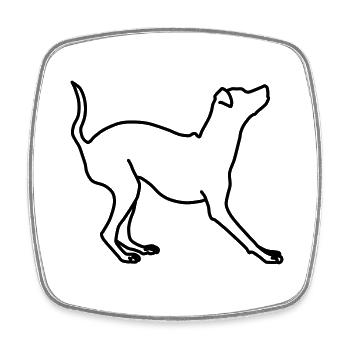 Pinscher Lineart miniature 1 - Magnet carré - blanc - Devant