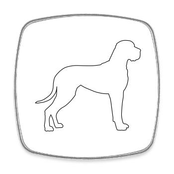 Contours des grands danois 1 - Magnet carré - blanc - Devant