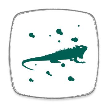 Bearded dragon - amphibian animal - Square fridge magnet - white - Front