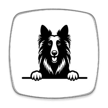 Belgian Groenendael - Square fridge magnet - white - Front