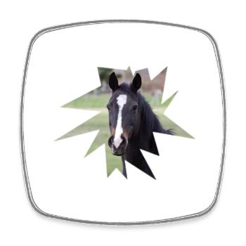 Cheval. Cheval. - Magnet carré - blanc - Devant