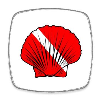 Coquille Saint-Jacques - Magnet carré - blanc - Devant