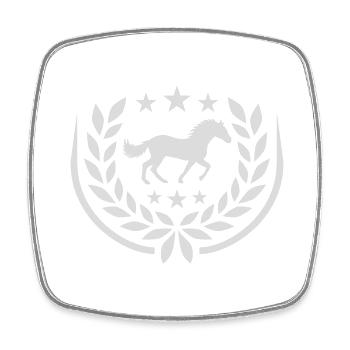 Star Horse Laurel Wreath Coat of Arms - Square fridge magnet - white - Front