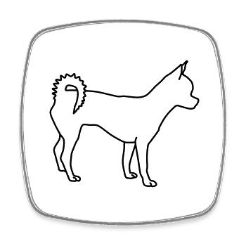 Chihuahua lineart 1 - Square fridge magnet - white - Front