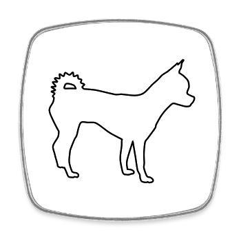 chihuahua konturen 1 - Viereckiger Kühlschrankmagnet - Weiß - Vorne