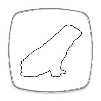Contours du bouledogue français 1 1 - Magnet carré - blanc - Devant