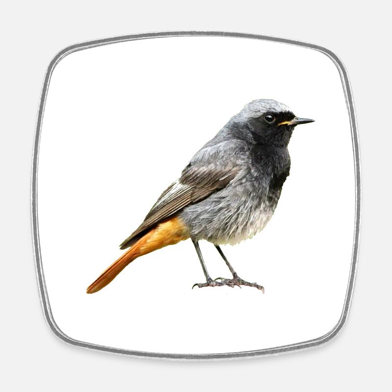 Rotschwanz Robin - Viereckiger Kühlschrankmagnet - Weiß