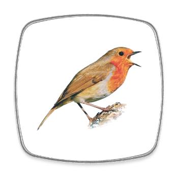Redthroat Bird Robin - Square fridge magnet - white - Front