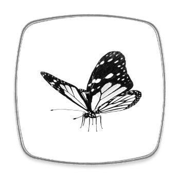 Schmetterling, Falter - Viereckiger Kühlschrankmagnet - Weiß - Vorne
