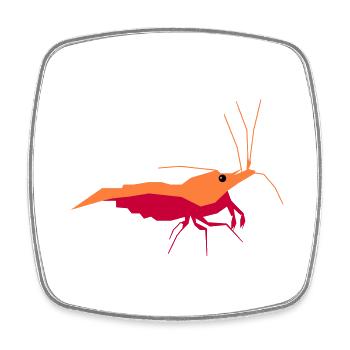 GARNELEN4YOU Shrimp Baby - Viereckiger Kühlschrankmagnet - Weiß - Vorne