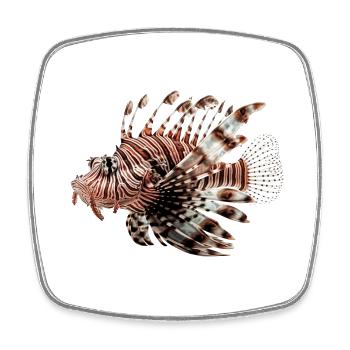 Le poisson-lion est un prédateur - Magnet carré - blanc - Devant