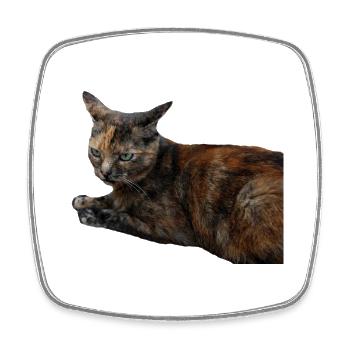 Chat Chaton Chat Drôle Chemise Cadeau - Magnet carré - blanc - Devant