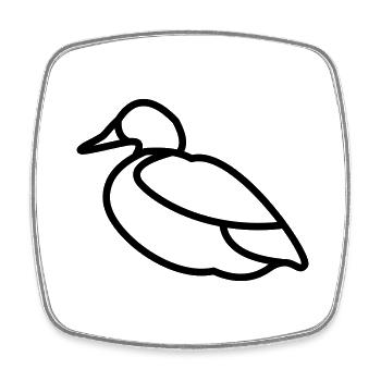 Duck - Square fridge magnet - white - Front
