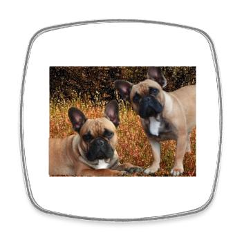 french bulldogs in the meadow - Square fridge magnet - white - Front