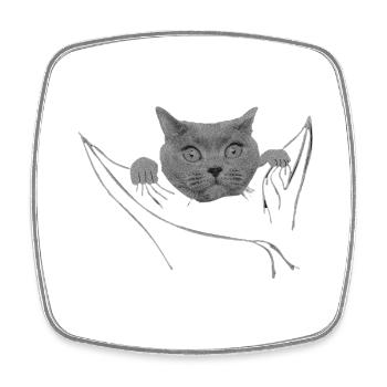 Chat dans votre poche Chat - Magnet carré - blanc - Devant