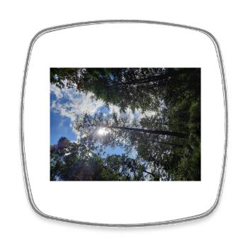 Der schöne Spreewald - Viereckiger Kühlschrankmagnet - Weiß - Vorne