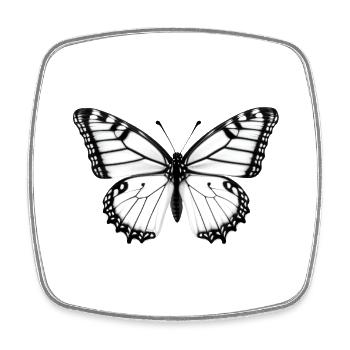 Butterfly Nature Insect Butterflies 10 - Square fridge magnet - white - Front