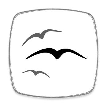 Bird 3 - Square fridge magnet - white - Front