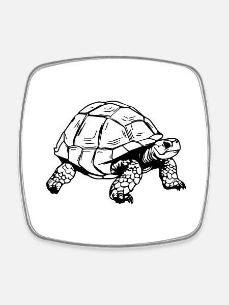 Tortoise - Square fridge magnet - white