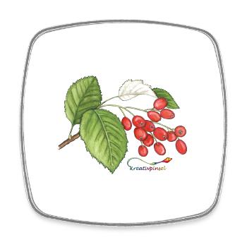 Echte Mehlbeere (Sorbus aria) - Viereckiger Kühlschrankmagnet - Weiß - Vorne