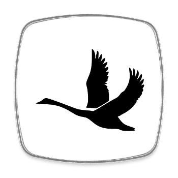 Cygne aux ailes énormes - Magnet carré - blanc - Devant
