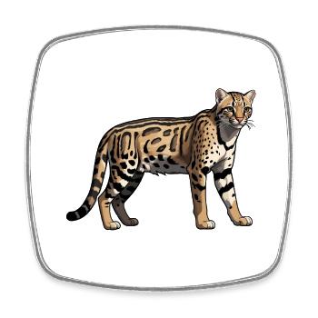 Cheetah - Cute Wildcat Motive - Viereckiger Kühlschrankmagnet - Weiß - Vorne