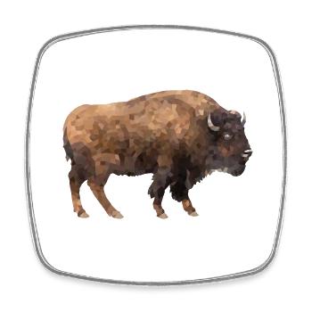 Bison - Viereckiger Kühlschrankmagnet - Weiß - Vorne