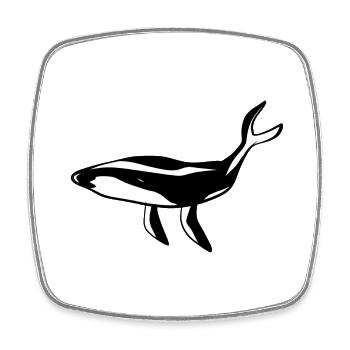 Whale Animal Marine Animal Ecosystem Symbol - Square fridge magnet - white - Front