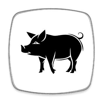 Pig Piggy Sow - Square fridge magnet - white - Front