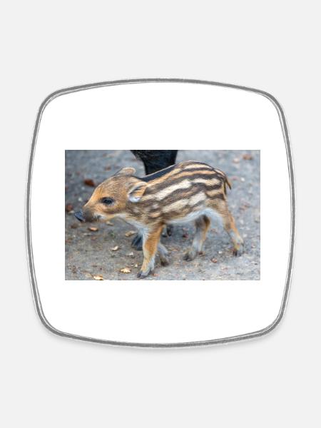 Frischling Wildschwein (Sus scrofa) im Wald - Viereckiger Kühlschrankmagnet - Weiß