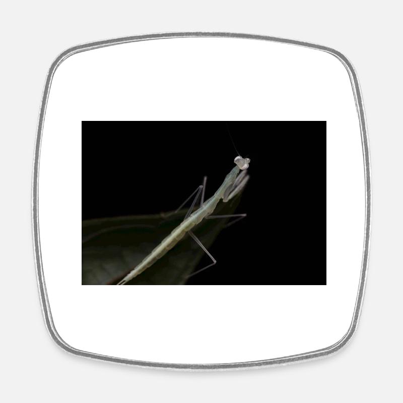 Sinomantis denticulata nymph - glass mantis - Square fridge magnet - white