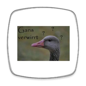 Gans verwirrt - witziger Spruch - Viereckiger Kühlschrankmagnet - Weiß - Vorne