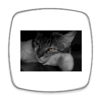The cat with the terrible look - Square fridge magnet - white - Front
