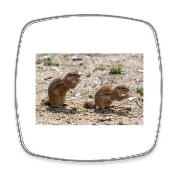 Afrikanische Ziesel Borstenhörnchen Xerus - Viereckiger Kühlschrankmagnet - Weiß - Vorne
