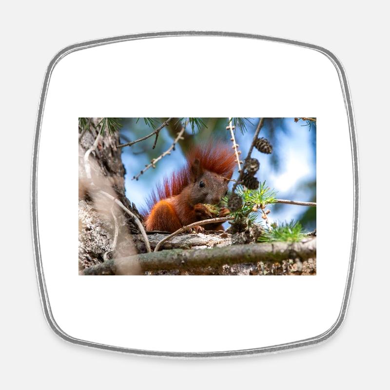 écureuil (en allemand Eichhörnchen) Sciurus - Magnet carré - blanc