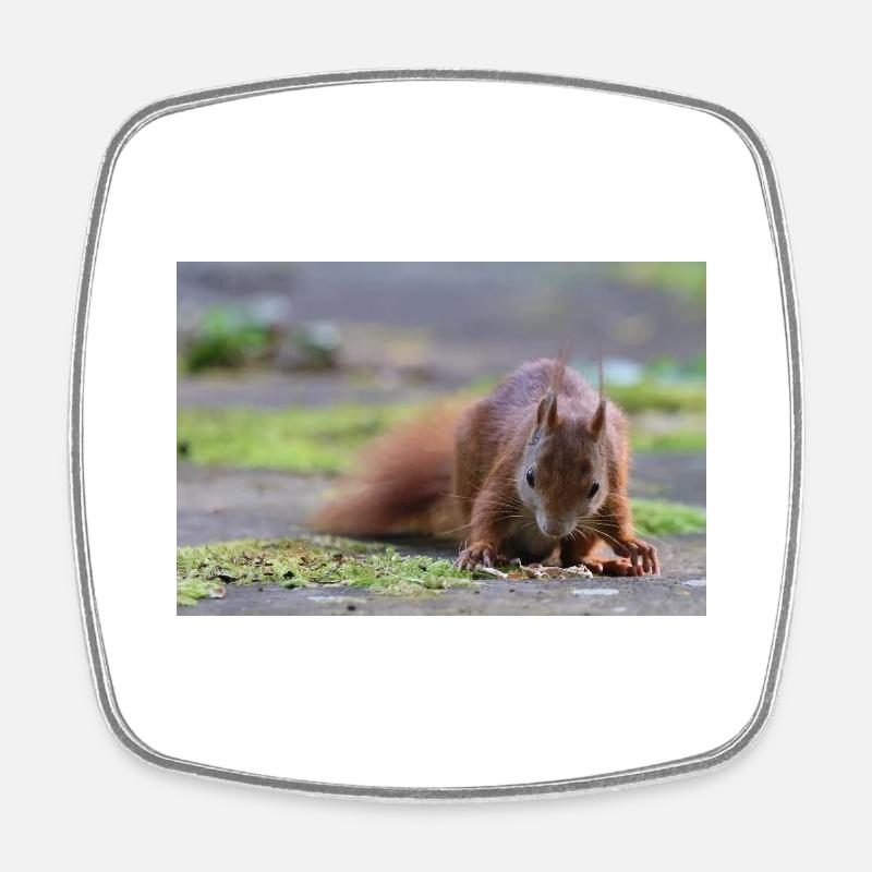 Eichhörnchen - Viereckiger Kühlschrankmagnet - Weiß