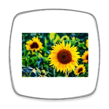 Sunflowers - Square fridge magnet - white - Front