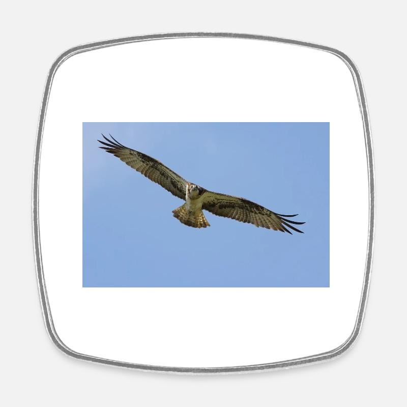 Osprey - Square fridge magnet - white